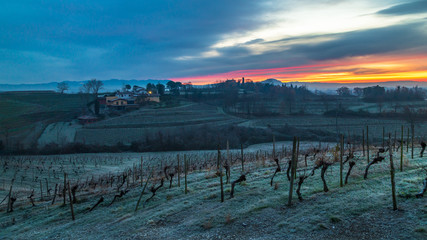 Cold misty morning in the vineyards of Italy