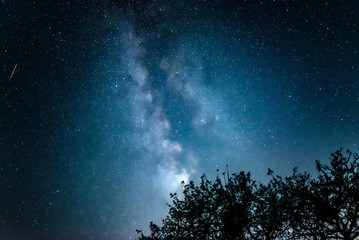 Obraz na płótnie Canvas Night starry sky against the background of the Milky Way and trees.