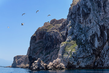 Cliffs of St. Grgur island with seagulls, Croatia