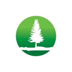 Cedar Tree Logo