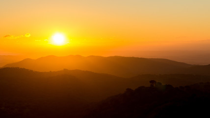Amanecer en los bosque de pinos en las montañas de Sierra Morena, Cordoba