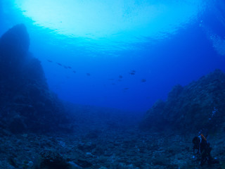 トカラ列島_口之島_スキューバダイビング