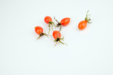 Dog roses fruits isolated on white background, scientific name Rosa canina 