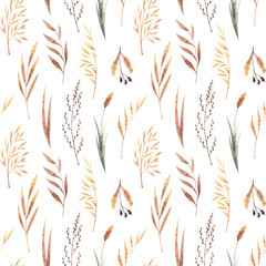 Watercolor seamless pattern with dried winter herbs and leaves isolated on white background. Autumn illustration in brown colors. Hand drawn floral backdrop perfect for interior fabrics, wallpapers.