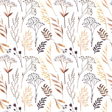 Watercolor seamless pattern with dried winter herbs and leaves isolated on white background. Autumn illustration in brown colors. Hand drawn floral backdrop perfect for interior fabrics, wallpapers.