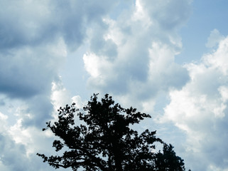 Obraz premium Copenhague