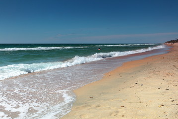 Sunny beautiful deserted sandy beach of the sea
