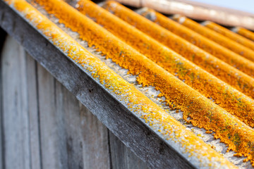 skate of the roof of a wooden house with red moss