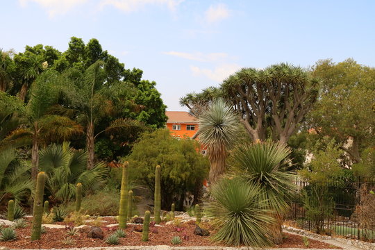 Botanischer Garten von Gibraltar