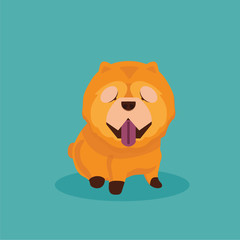 Dog chow chow cartoon vector illustration.