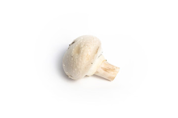 Champignon mushroom on a white background isolate