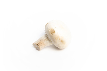 Champignon mushroom on a white background isolate
