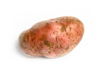 Potato on a white background isolate
