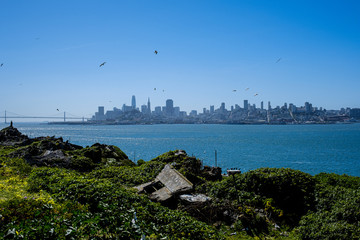 View from Alcatraz to Skyline of San Francisco