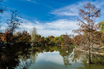 Fototapeta na wymiar Parque de París, Las Rozas de Madrid, Madrid, España