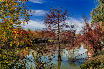 Parque de Par&iacute;s, Las Rozas de Madrid, Madrid, Espa&ntilde;a