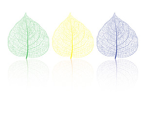 art leaves on white background vector design