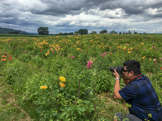 One Asian Man Take Piture in Flower Garden.
