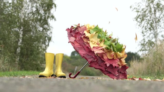 bunter Regenschirm mit Herbst Bl&auml;ttern