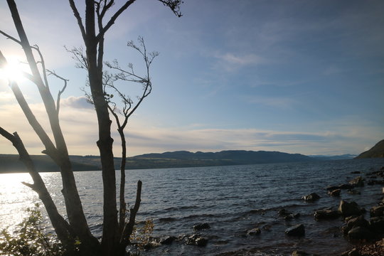 loch ness and then tree 