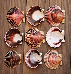 Beautiful halves of scallops from scallops laid out on a wooden table with a pattern