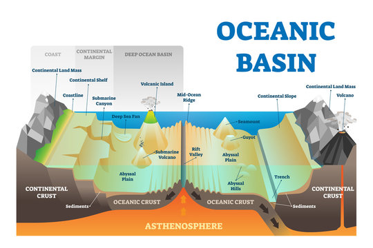 Ocean basin structure vector illustration. Labeled underwater level scheme.
