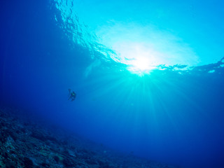 トカラ列島_口之島_スキューバダイビング