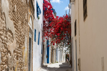Rue de la médina de Tunis, Tunisie
