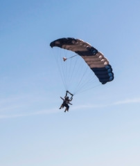 Skydivers in the sky on a summer day.