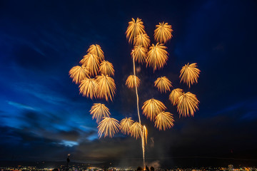 【信州の花火】諏訪湖祭湖上花火