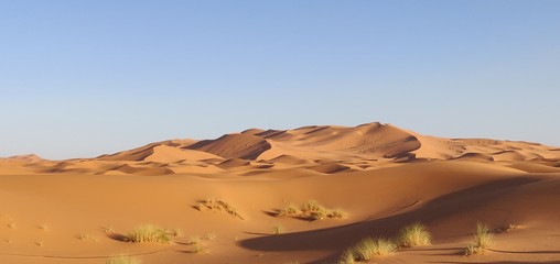 Fototapeta na wymiar Moroccan desert