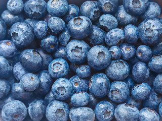 a lot of organic natural ripe blueberries - berry background