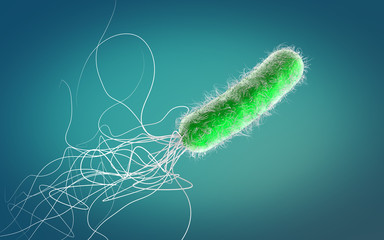 Single green colored multiple antibiotic resistant Pseudomonas aeruginosa bacterium-3d illustration