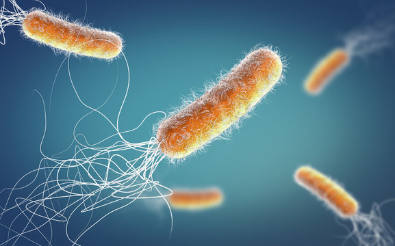 Orange colored multiple antibiotic resistant Pseudomonas aeruginosa bacterium - 3d illustration