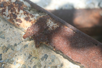 rusty saw on background