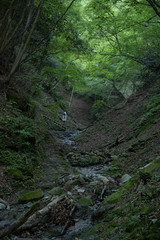 檜洞丸の登山道