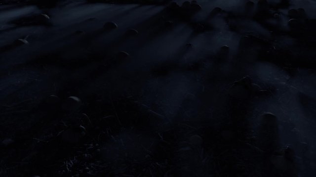 Abandoned creepy field with skulls on foggy ground, night and day light seamless loop animation.