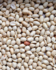 peanuts food background for nuts concept