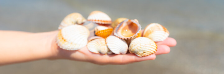Blurred background. Out of focus photo of sea shells. Colorful beautiful sea shells on sand beach background. Woman's hand holding various seashells. 