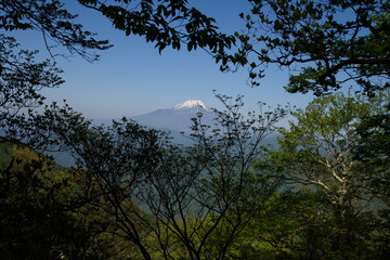 檜洞丸の登山道