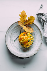 Small yellow  pumpkin on marble background with copy space