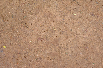 texture of paper floor trace way