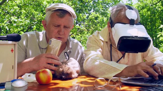 aged man with smartphone and magnifying glass holds hedgehog near senior citizen in headset. Concept virtual reality