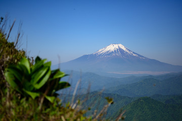 檜洞丸の登山道