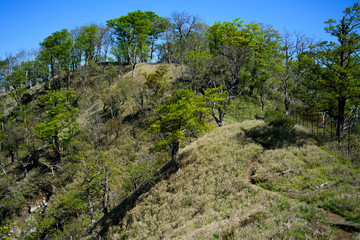 Fototapeta na wymiar 檜洞丸の登山道