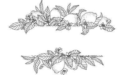 Vector frame illustration with lemon fruits and flowers