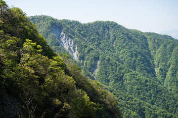 Fototapeta na wymiar 檜洞丸の登山道