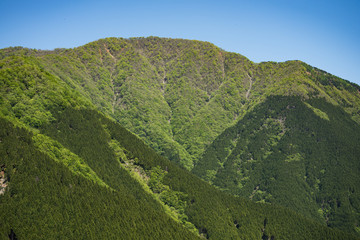 檜洞丸の登山道