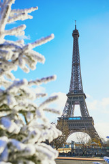 Fototapeta na wymiar Christmas tree covered with snow near the Eiffel tower