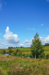 Obraz premium Beautiful summer landscape with river and green fields